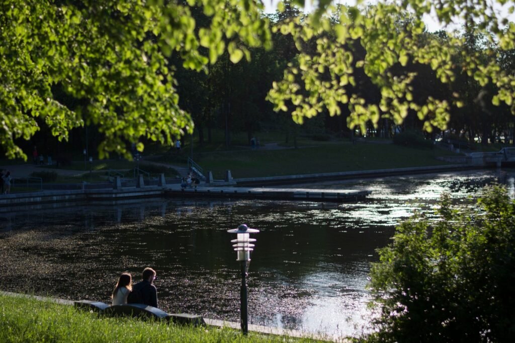 A couple enjoying a tranquil moment by a pond in a summer park surrounded by lush greenery.