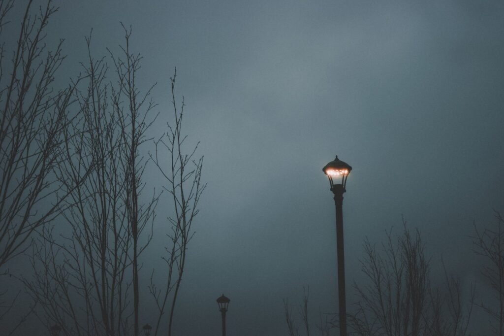 A solitary street light illuminates a misty evening scene with silhouetted trees.