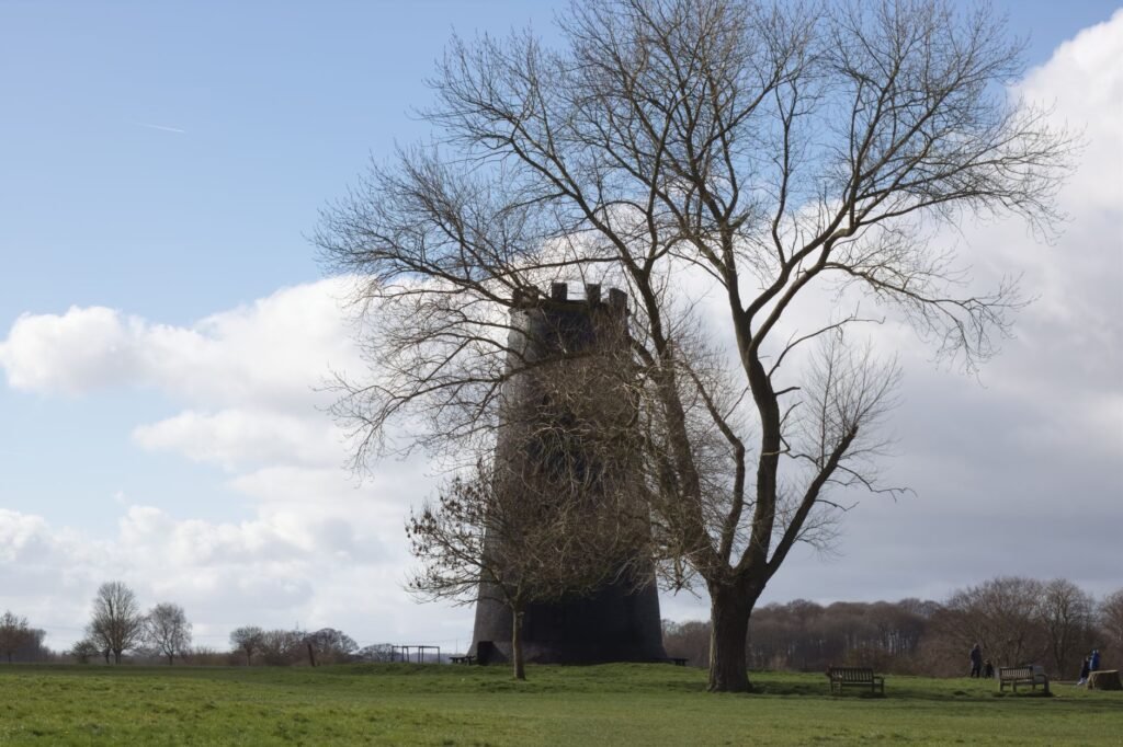 A scenic view of a historic tower and tree in Beverley, England, showcasing architecture and nature.