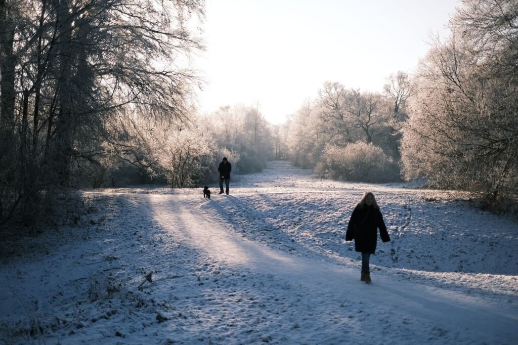 Two people and a dog walking in a snow-covered park in Hillerød, Denmark during winter.