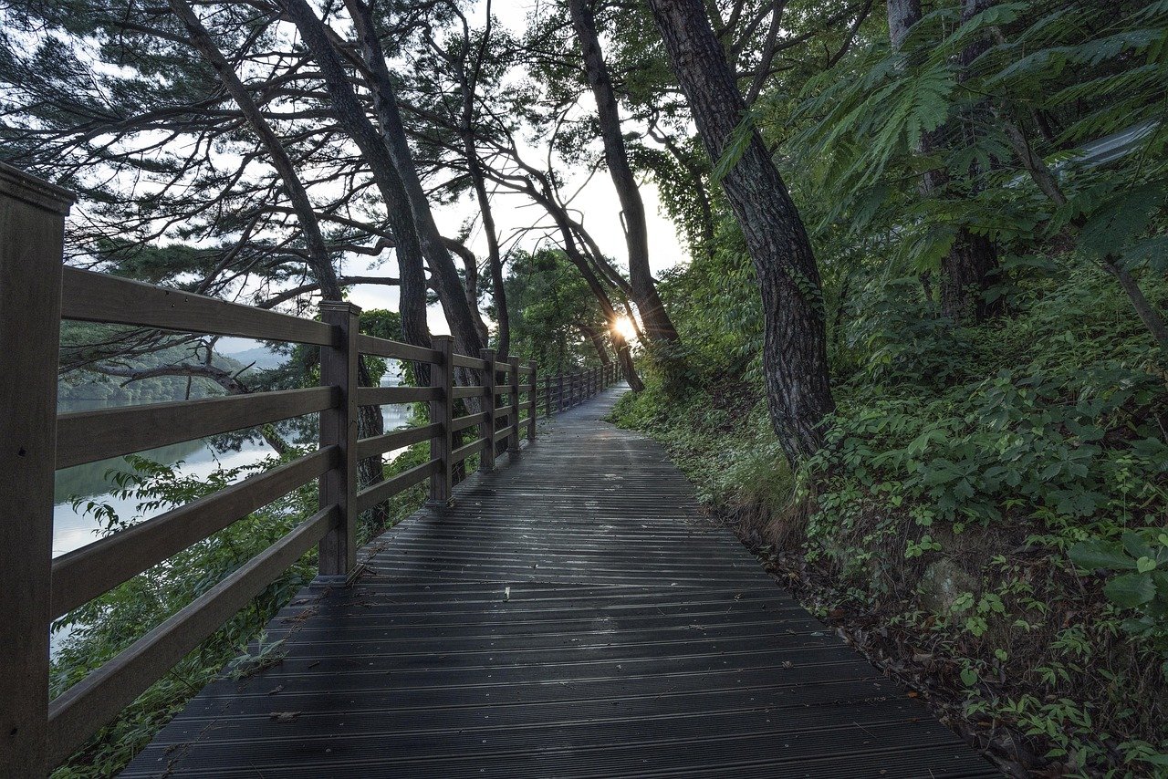 walk, free, park, tree, landscape, forest, break, trail, nature, healing, quiet, green, colonnade, road, still, free, free, h