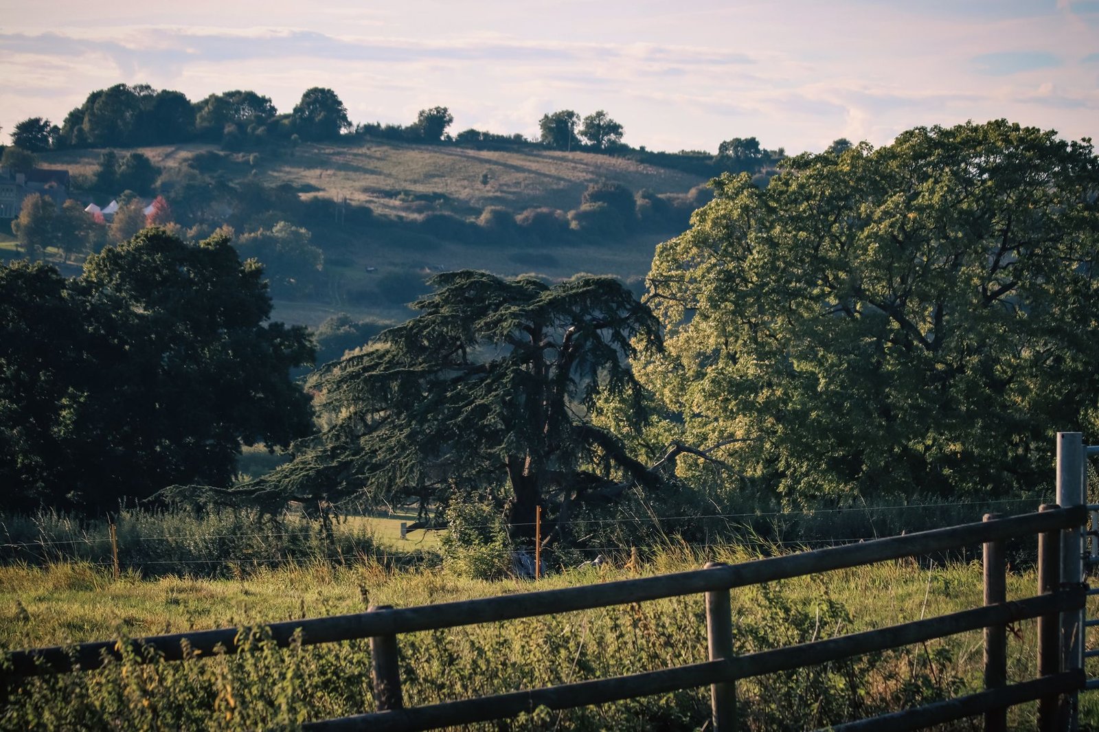 Peaceful rural landscape with rolling hills and green trees, captured on a sunny day.