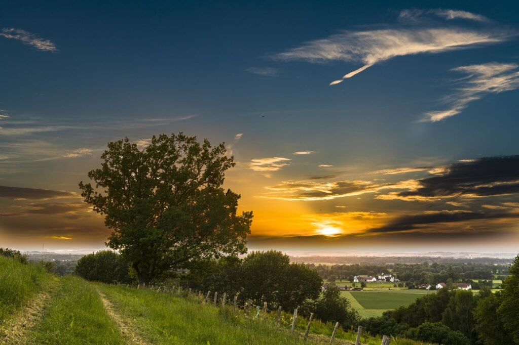 Experience the tranquility of a rural landscape at sunset with a scenic pathway and lush nature.