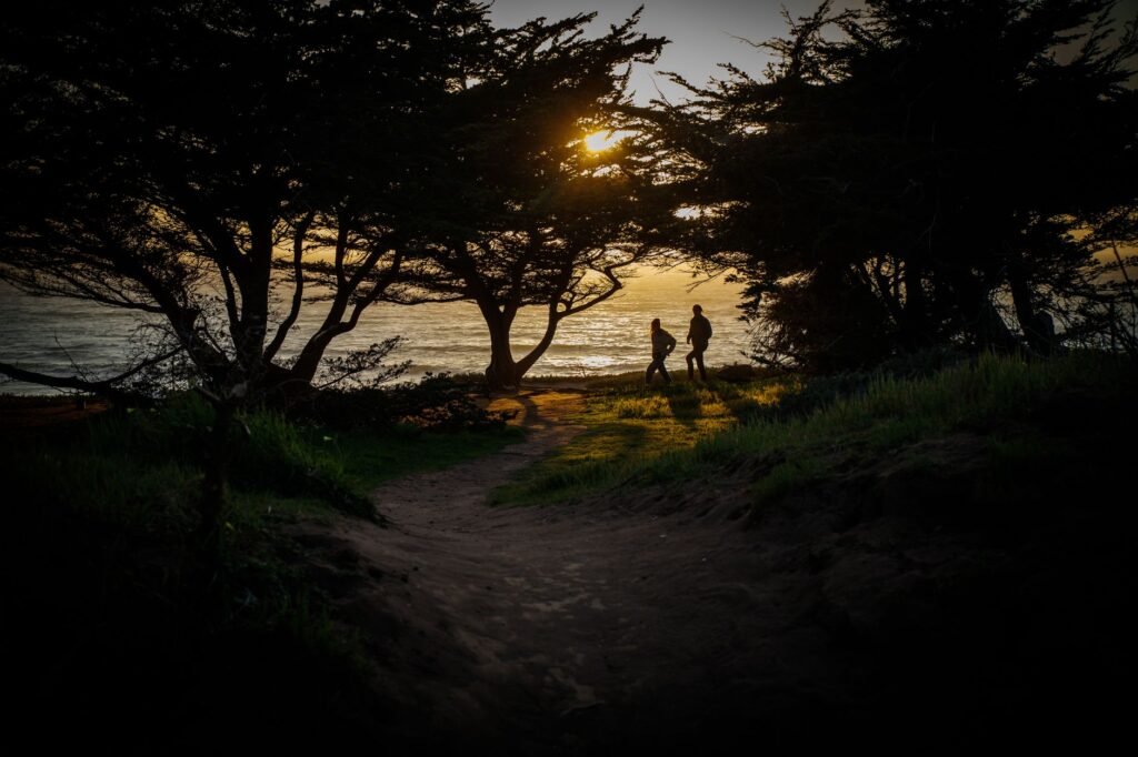 Silhouetted couple walking along a coastal path in Cambria, California at sunset.