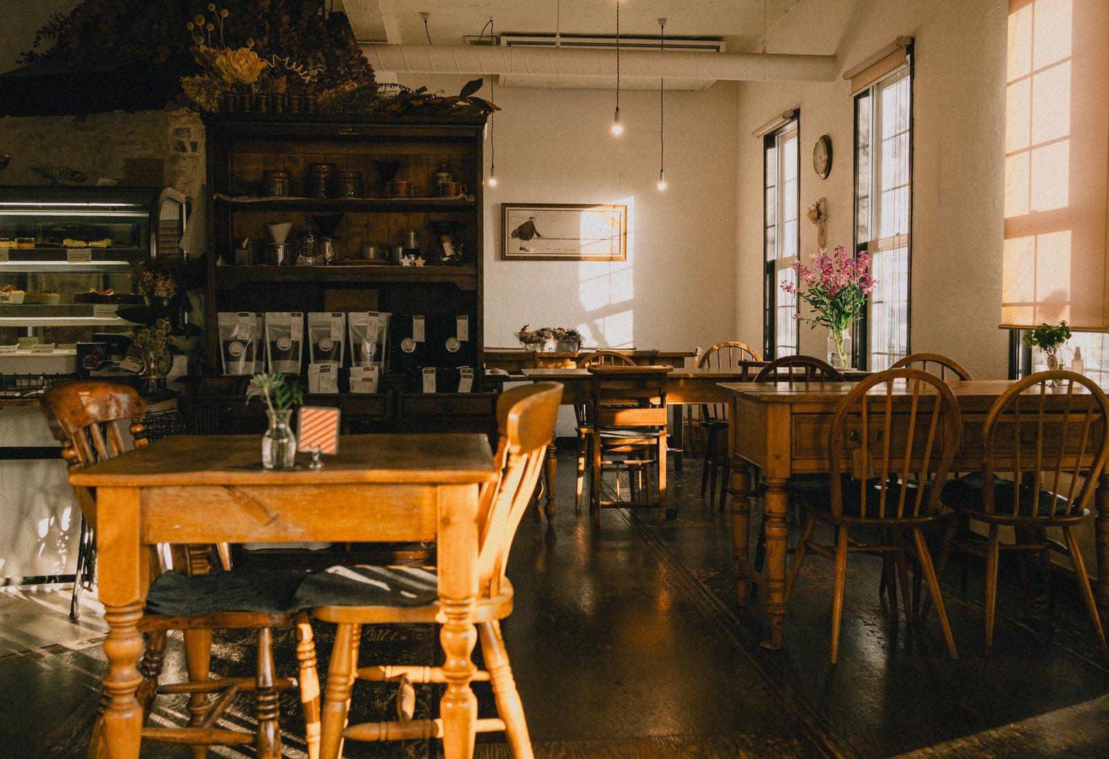 Warmly lit café with wooden furniture and plants, capturing tranquility at sunset.