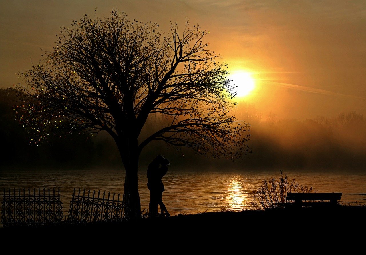 lovers, few, in love, sunset, romance, lake, riverbank, nature, relationship, happy, friendship, united, moments, silhouette,