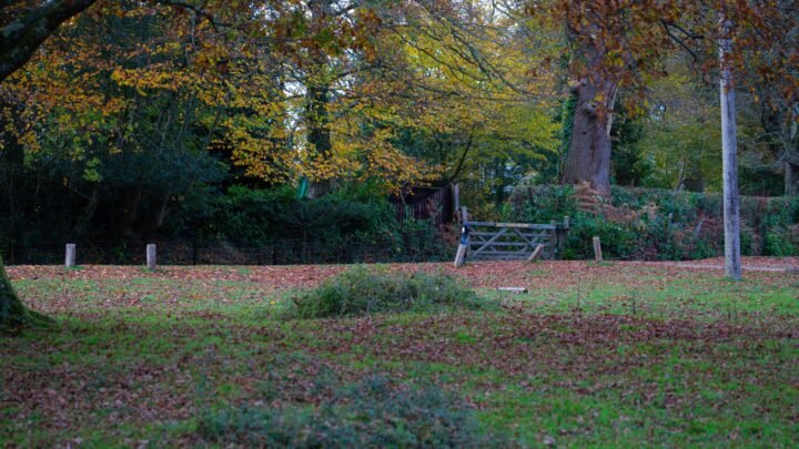 What People Often Misunderstand About Romance in Crawley