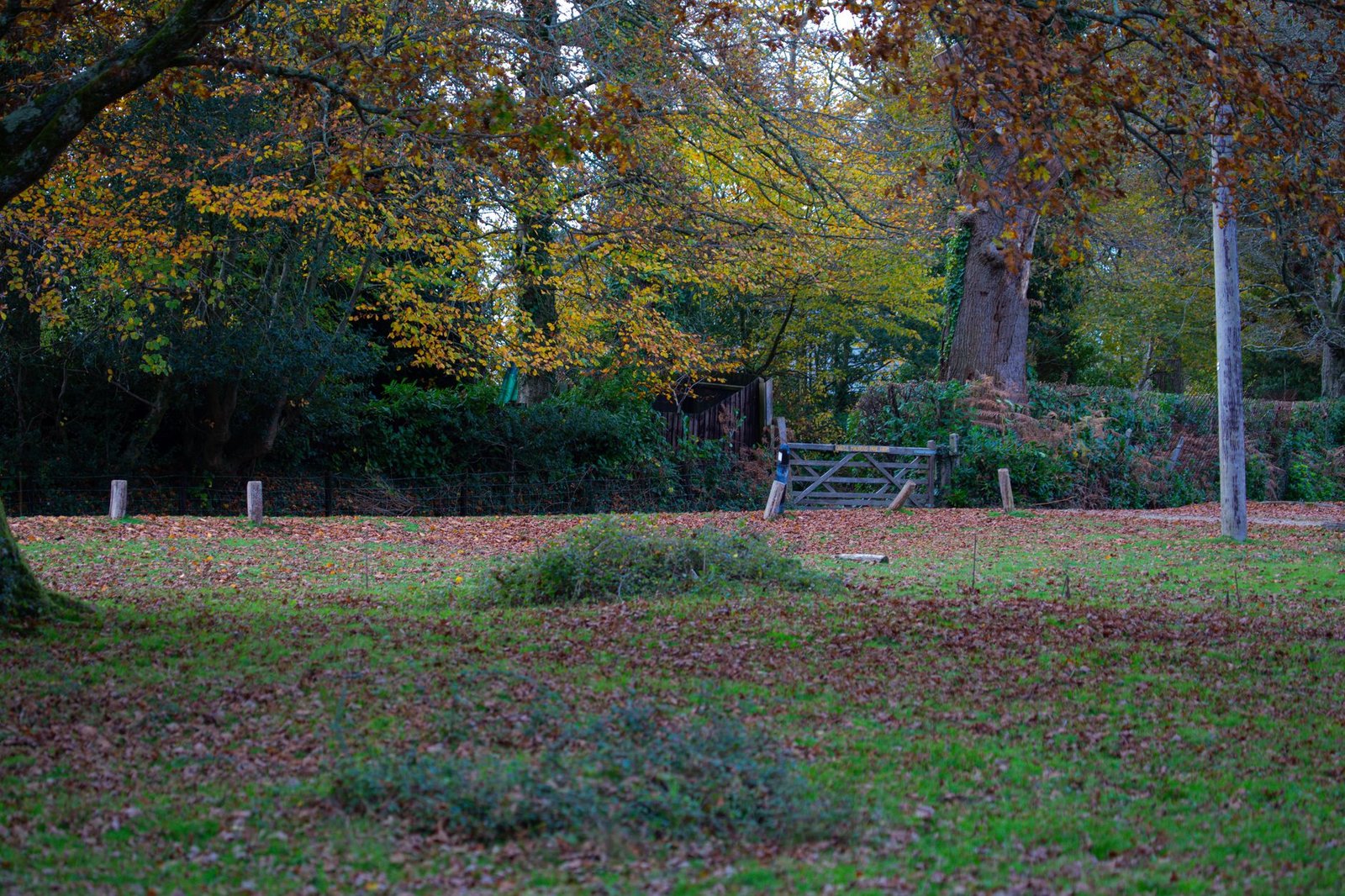 Peaceful autumn landscape in a Bournemouth park with colorful foliage.