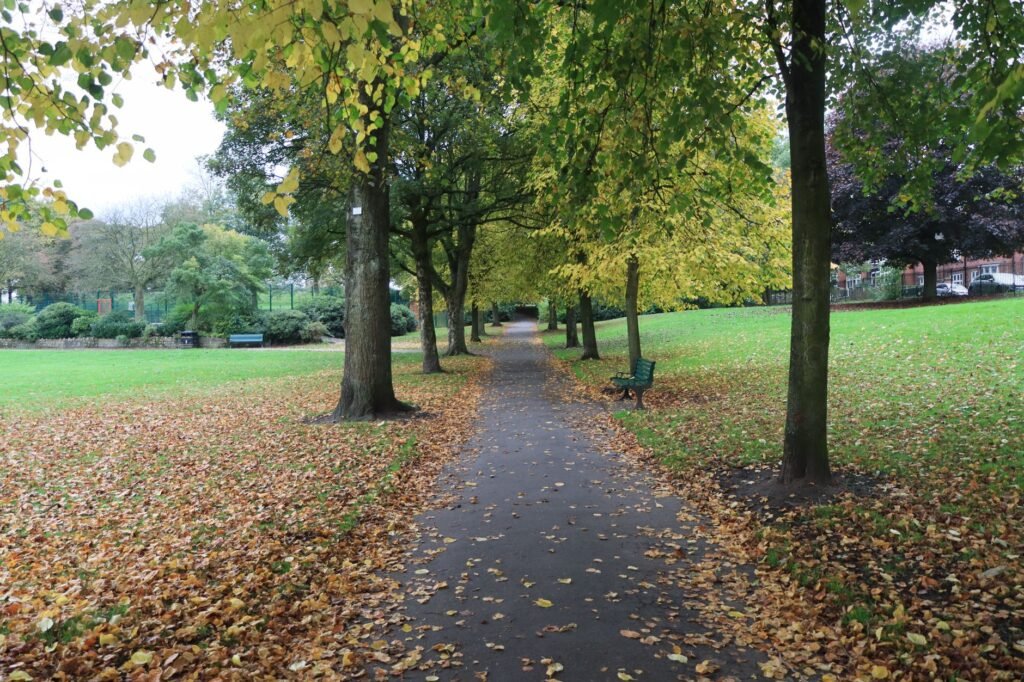 Serene park pathway with fallen autumn leaves and green trees in England.