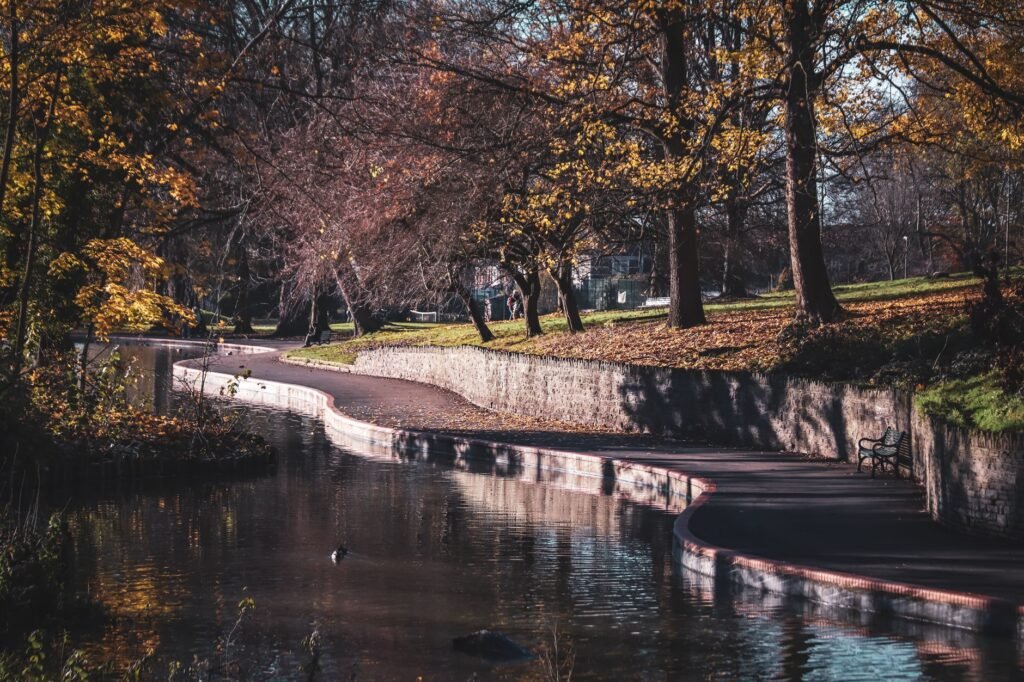 Gentle autumn scenery in an English park with a pond and pathway, showcasing vibrant fall foliage.
