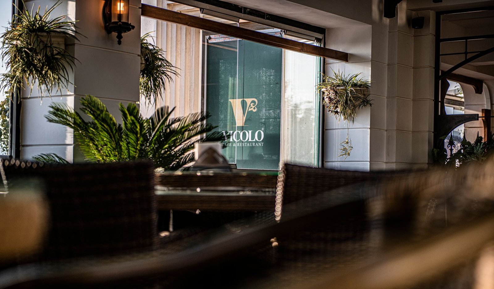 Welcoming cafe atmosphere with lush greenery and inviting decor, perfect for a relaxing visit.