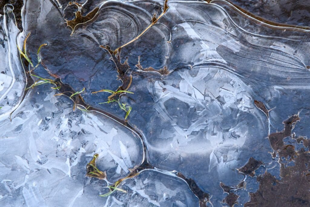 Close-up of ice patterns and green sprouts in Craigavon, showcasing natural beauty and winter textures.