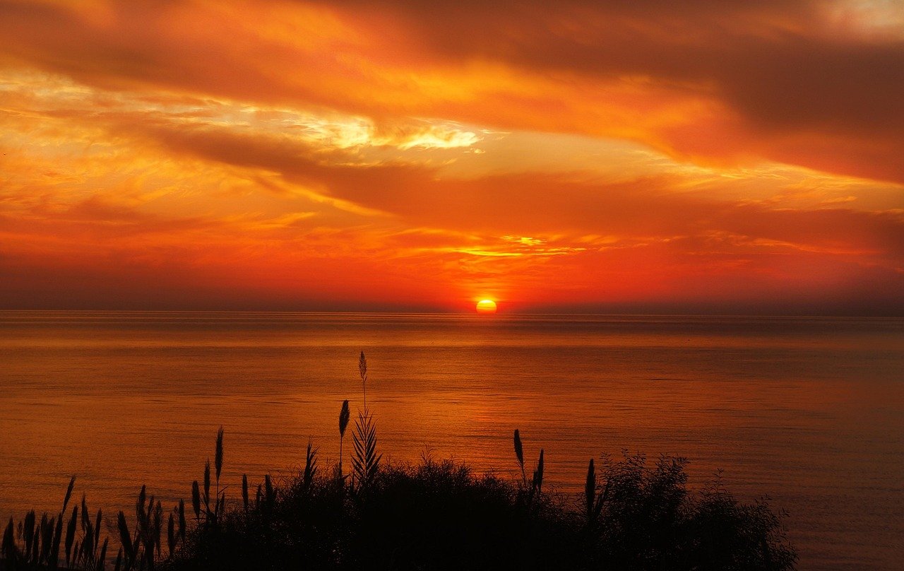 grasses, sea, sunset, sunrise, sun, sunlight, silhouette, coast, seaside, horizon, orange sky, clouds, sky, summer, ocean, se