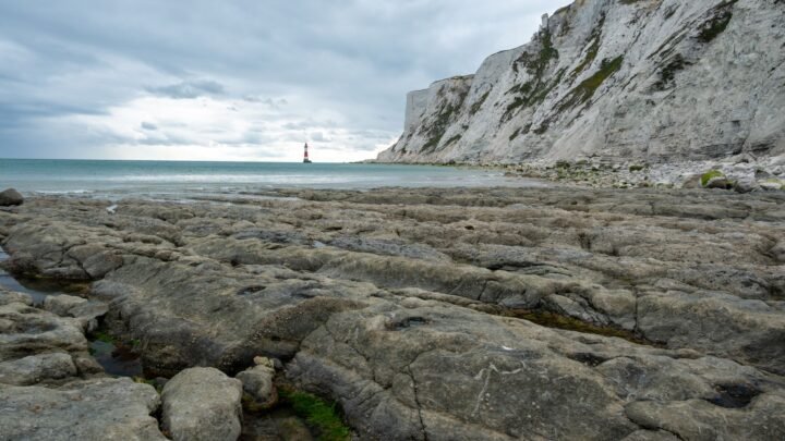 Planning Ahead for an Escort in Eastbourne: A Practical Guide to Preparation