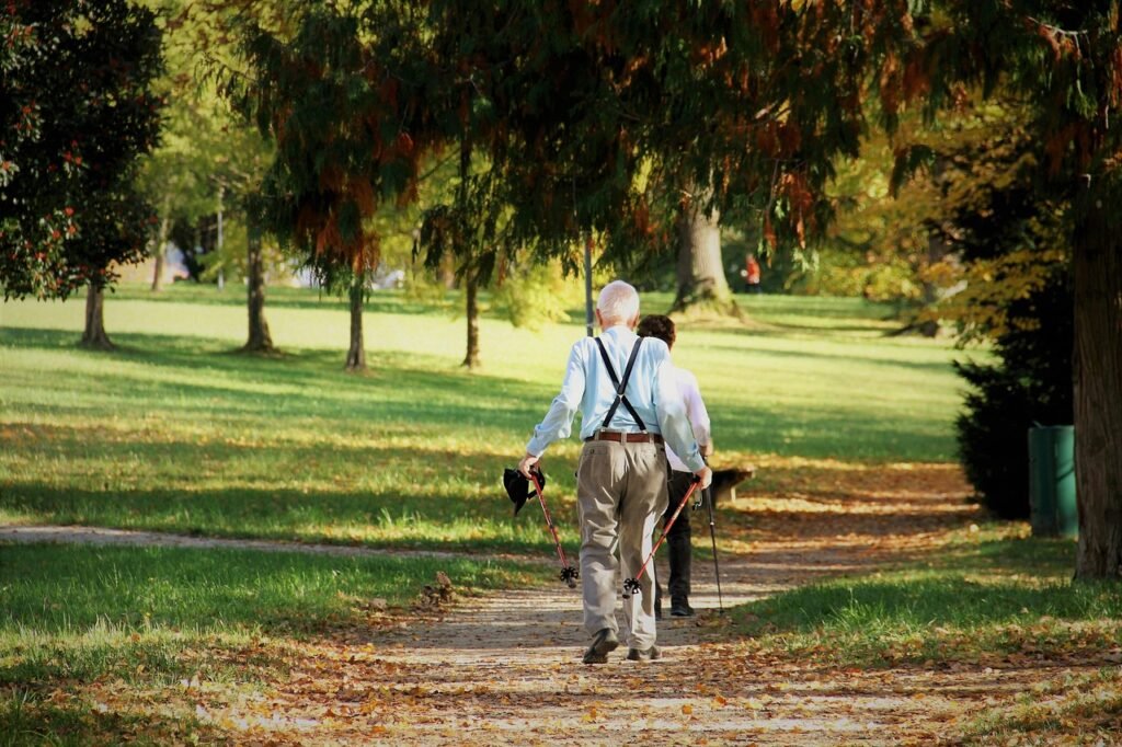sports, nordic walking, park, fitness, walk, coloured, hike, old people sports, athletic old people, sport nordic walking, he