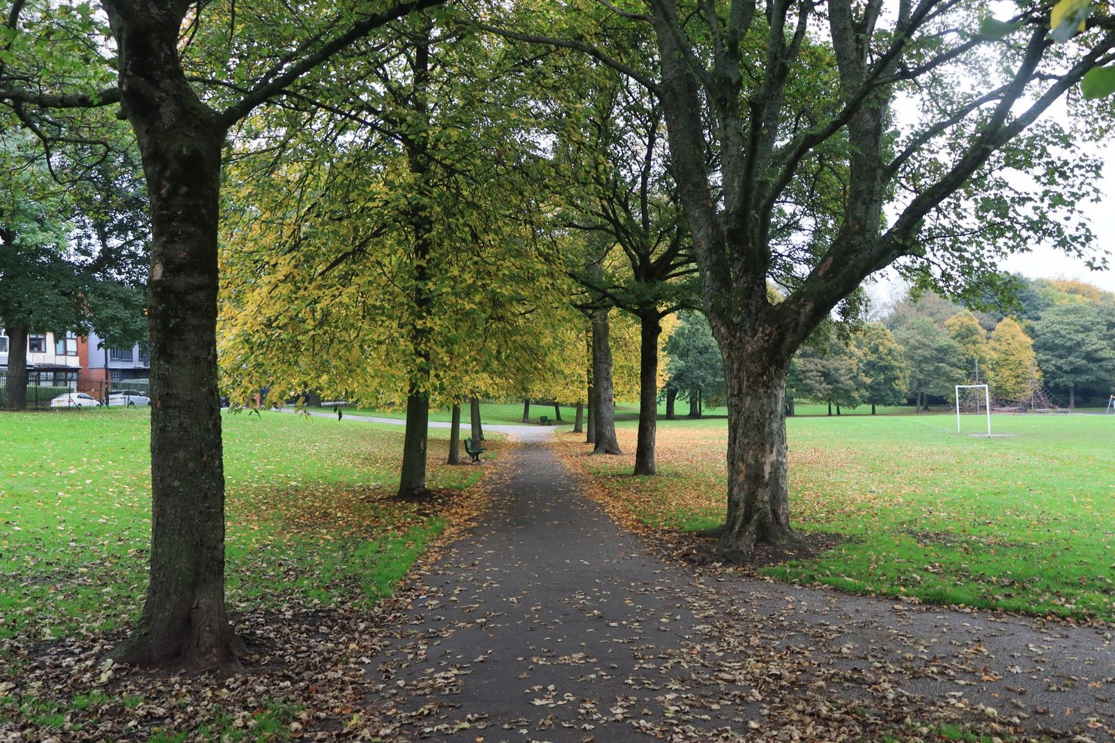 Tranquil park scene in England with autumn foliage and a winding path.