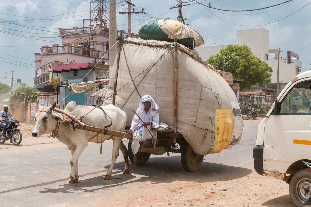 india, merchant, dealer, ox, goods, asia, street, poor, overloaded, transportation, india, india, india, india, india, poor,