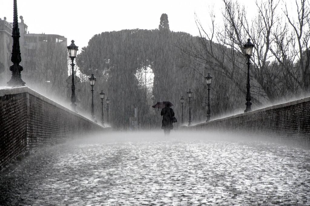 rain, wet, drops, water, nature, rainy, rainy day, raindrops, loneliness
