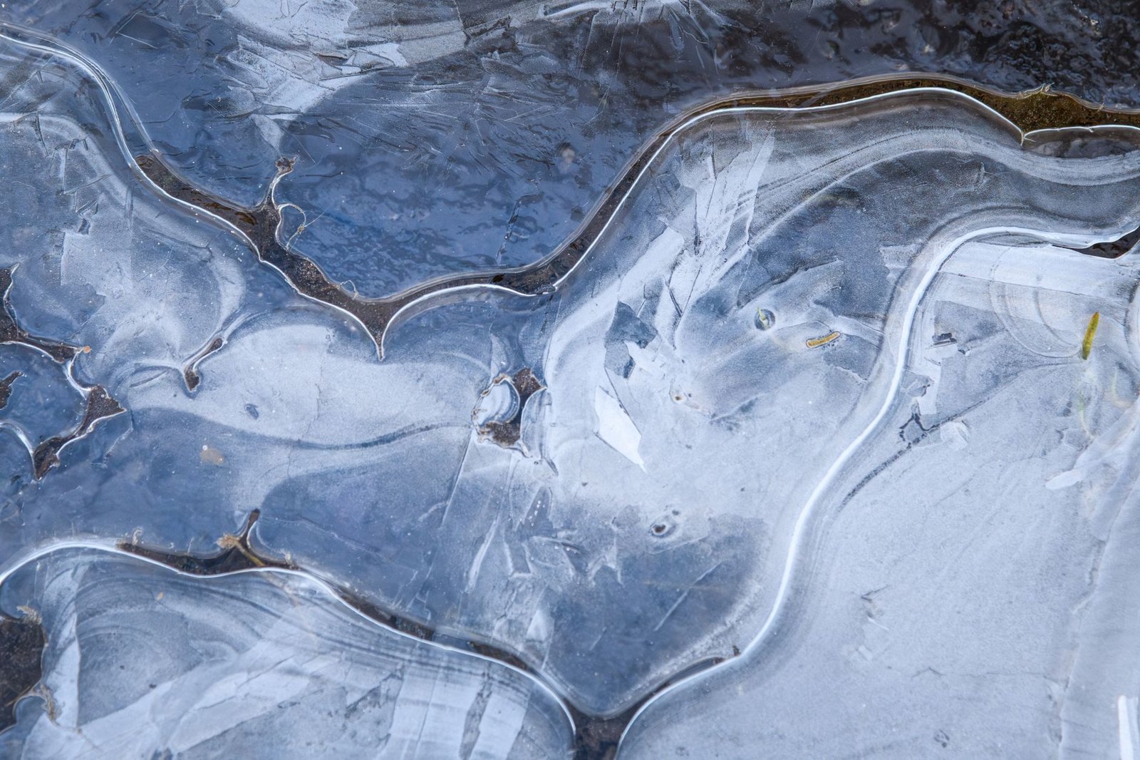 Detailed close-up of ice formations showcasing abstract patterns in Craigavon, Northern Ireland.
