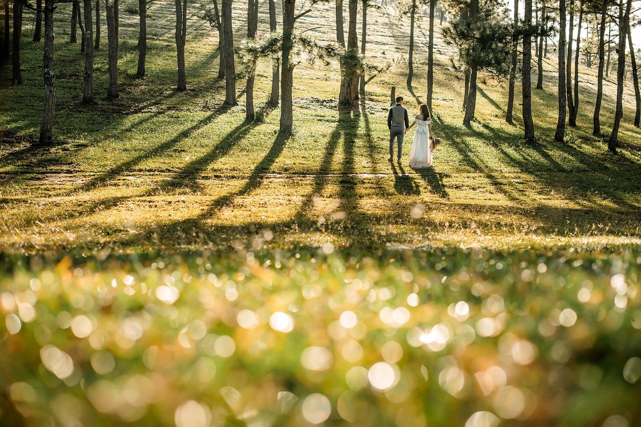 wedding, love, couple, romance, together, nature, outdoors, wedding, wedding, wedding, wedding, wedding, love, love, romance