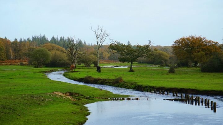 Redefining Romance: How Romantic Connection is Changing in Crawley