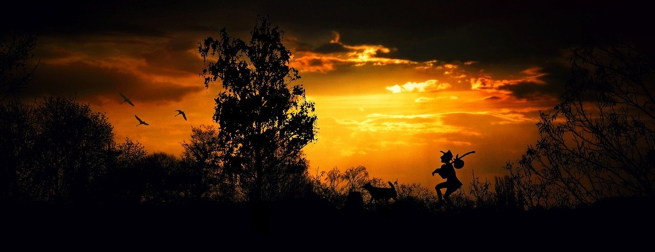 wanderer, hiking, sunset, silhouette, man, dog, walking, forest, wilderness, trees, person, trekking, walk, landscape, pet, m