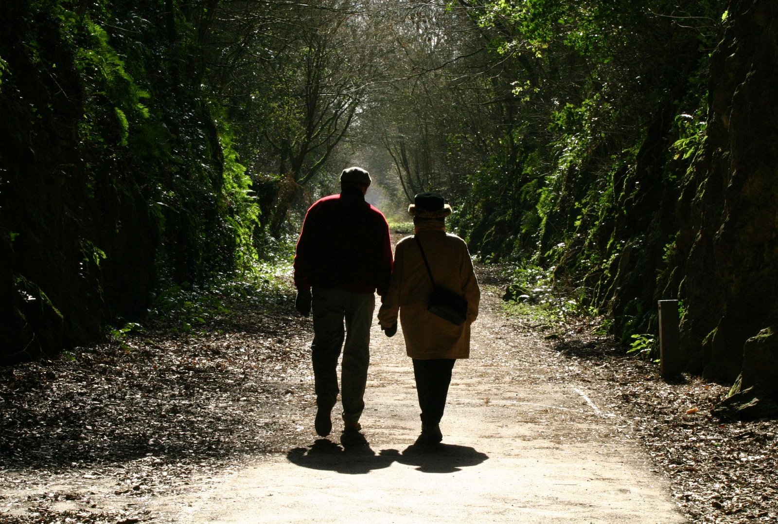 A senior couple walks hand in hand through a serene tree tunnel in Bristol, UK, enjoying a peaceful autumn day.