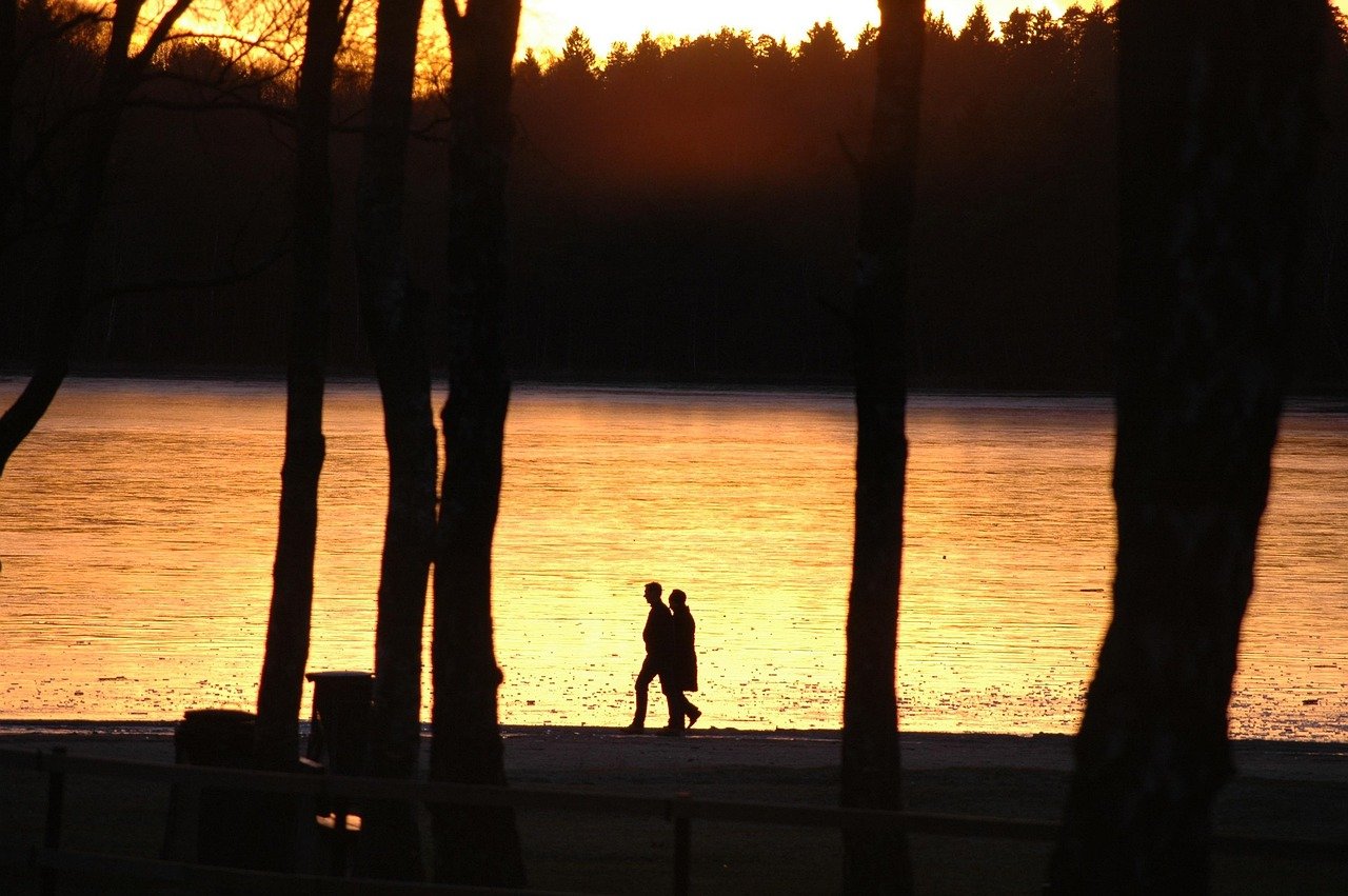 lake, sunset, walk, couple, nature, silhouettes, park, trees, evening