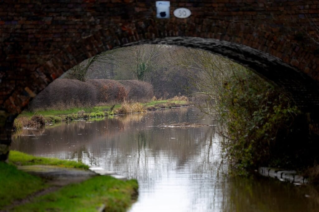 canal, winter, walk, bridge, arch, reflection, stone, brick, runner, bare trees, nature, green, water, grass, foliage, wintry