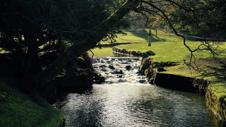 Exploring Romantic Connections and Meaningful Relationships in Newtownabbey