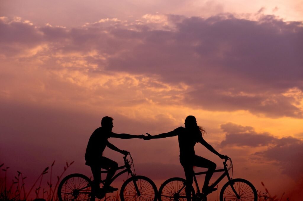 bicycles, couple, silhouettes, biking, nature, bicycle ride, bicycle riding, sunset, dusk, twilight, backlighting, bikes, cyc