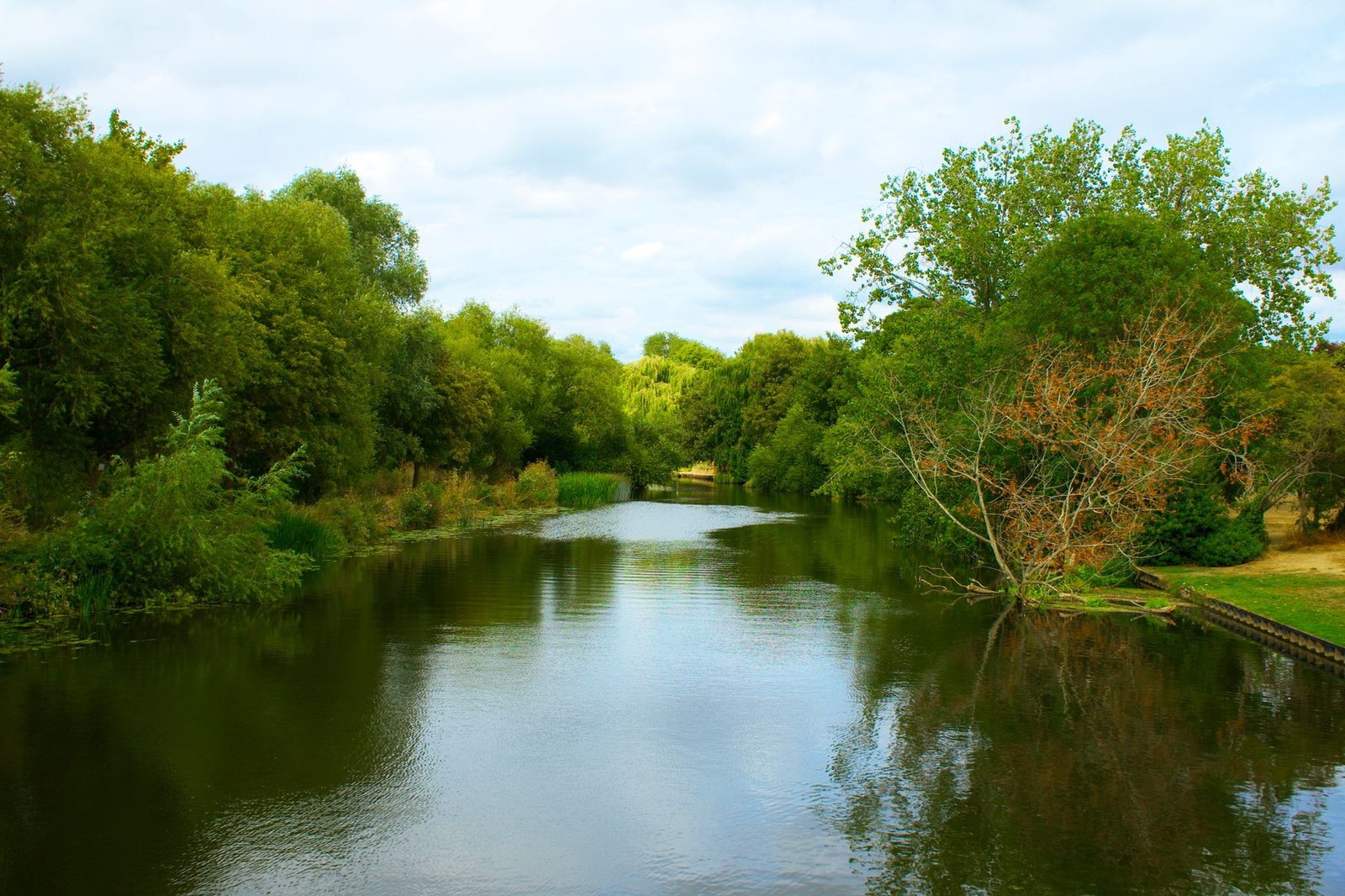 Serene view of the river and lush greenery in St Neots, United Kingdom, perfect for nature lovers.