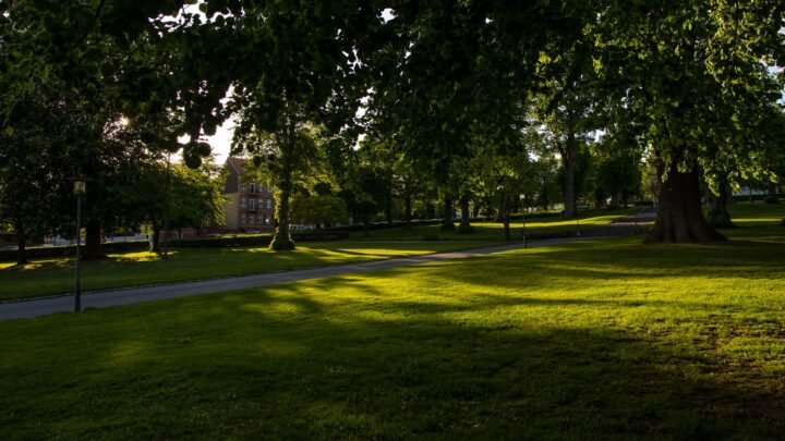 Exploring the Local Picture for Romantic Experiences in Preston