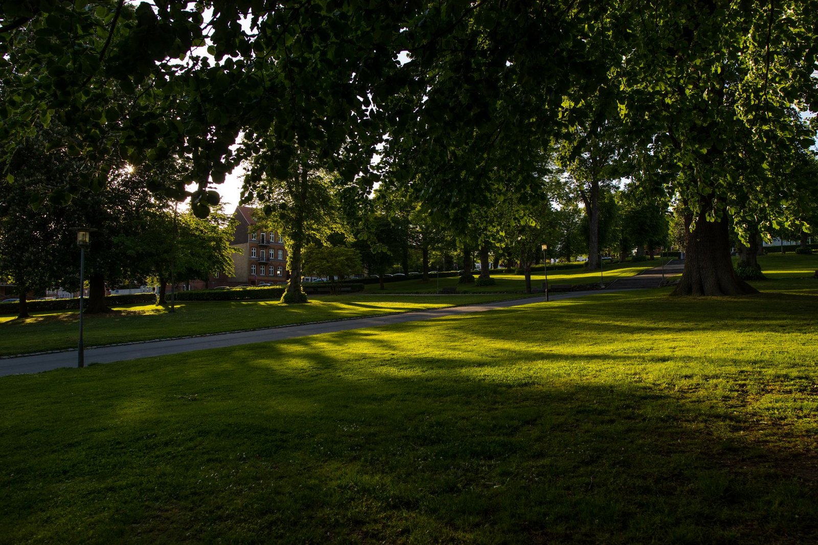 A serene park scene in Horsens, Denmark with lush greenery under dappled sunlight.