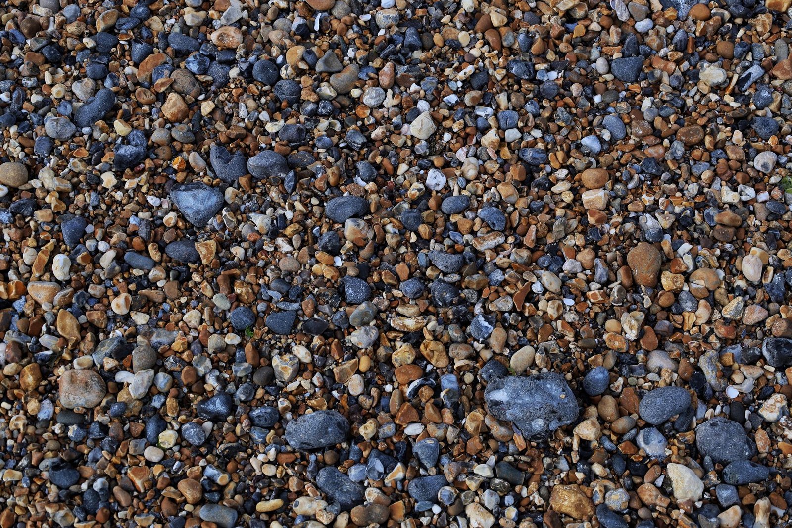 Vibrant and diverse pebbles on Brighton beach, showcasing natural beauty and texture.