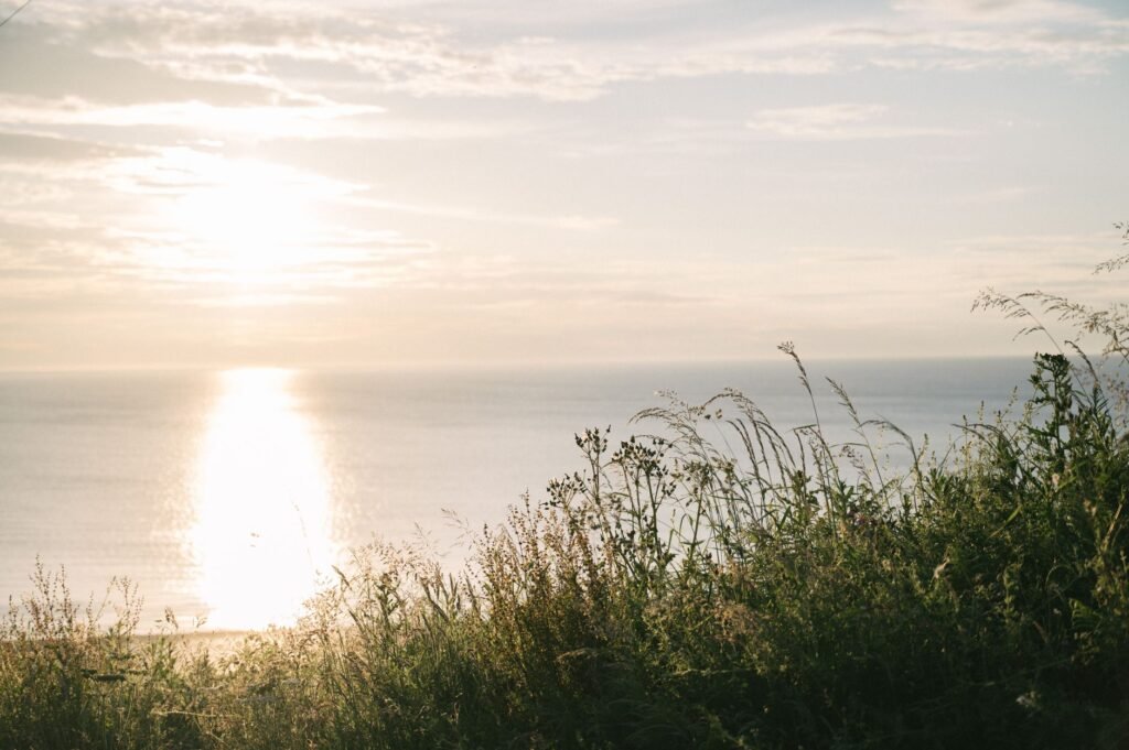 Beautiful sunset over the Hunmanby coast with lush vegetation.