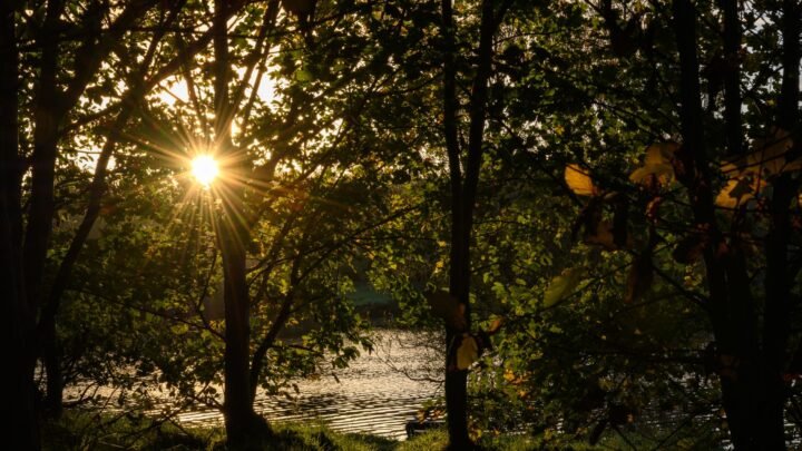 Crafting a Natural First Meeting Around Romantic Connection in Coleraine