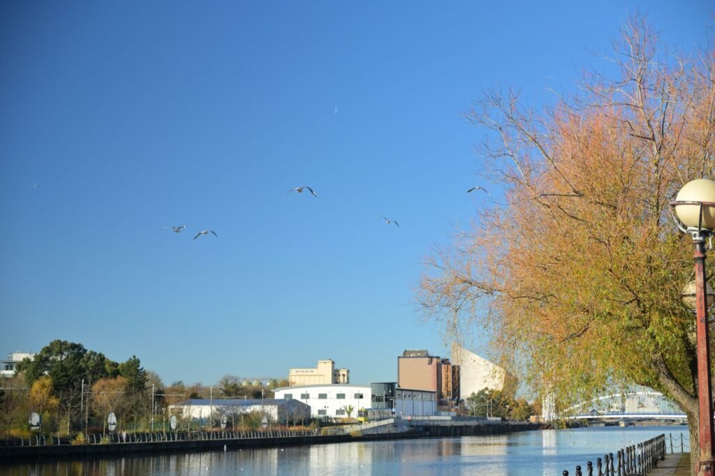 A serene riverside with autumn trees and migrating birds under a blue sky.