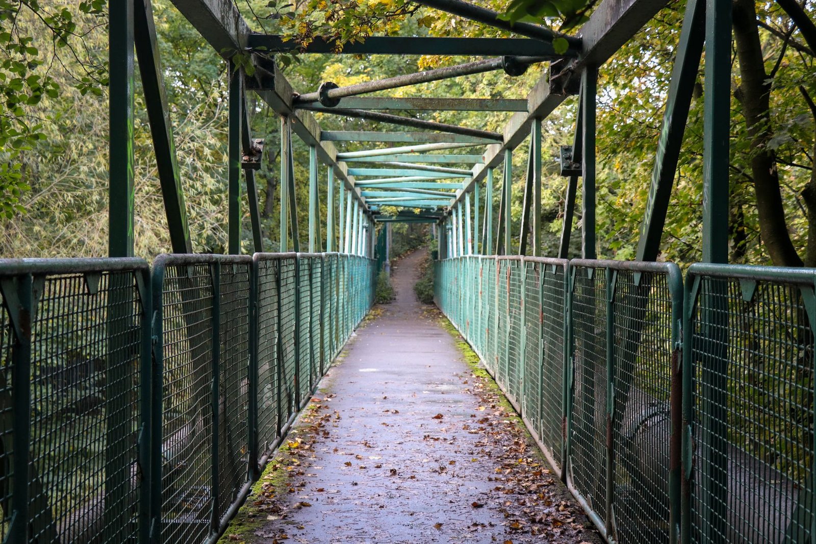 Explore a tranquil footbridge amidst lush greenery in a Leeds park.