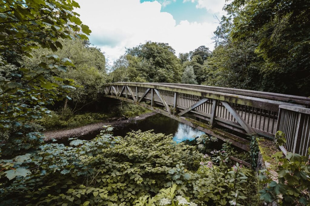 Beautiful wooden footbridge over a creek surrounded by lush greenery in Glasgow park.