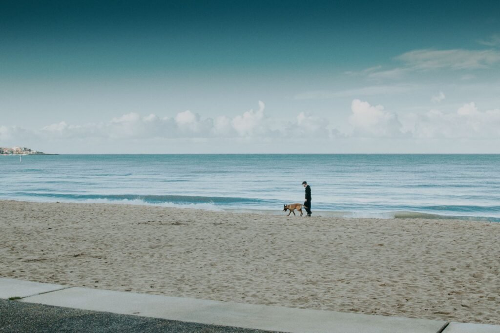 A serene scene of a person walking a dog along Colwyn Bay Beach, Wales.
