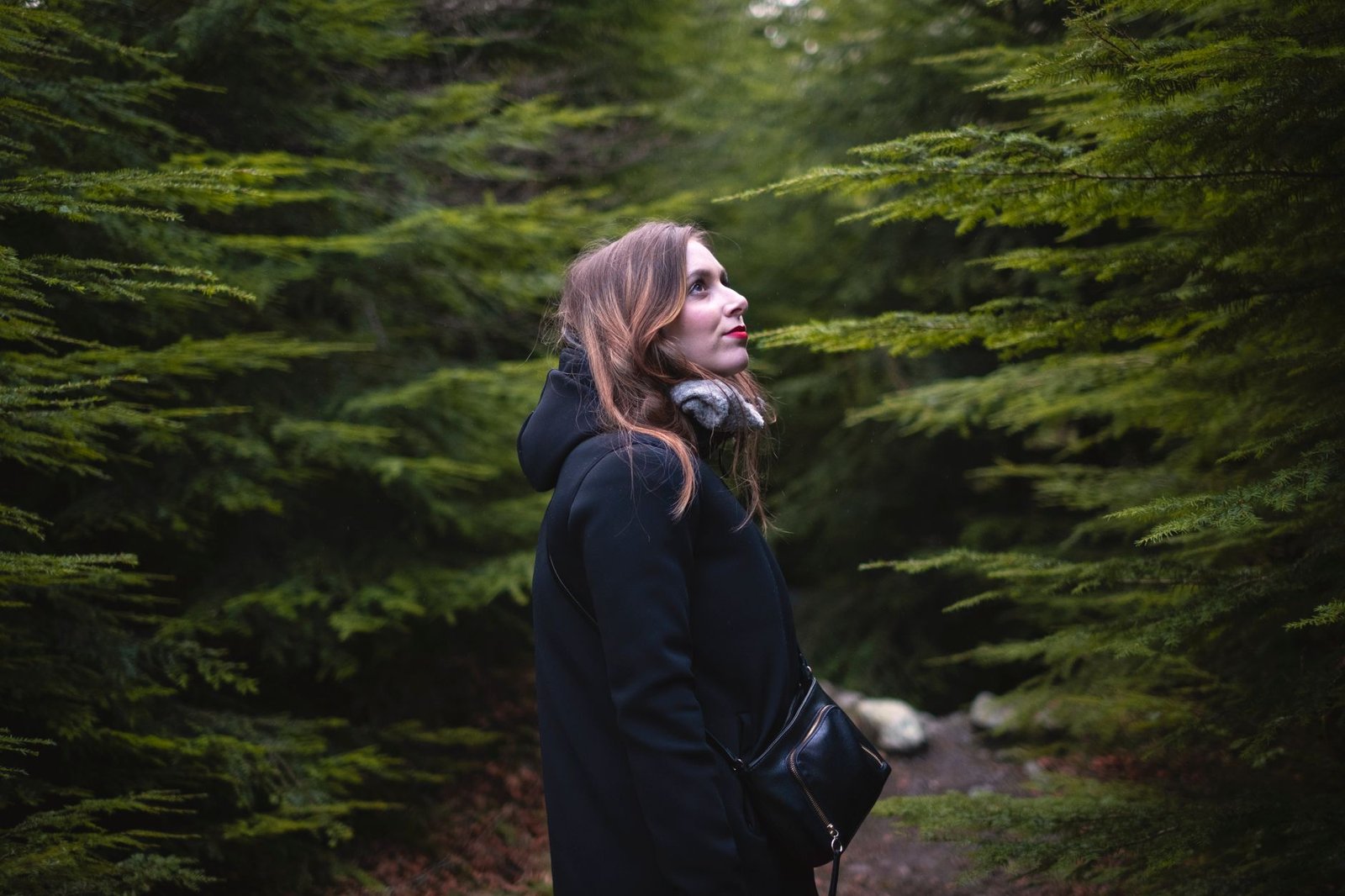 A woman in a black coat explores the lush greenery of Tollymore Forest Park in Northern Ireland.
