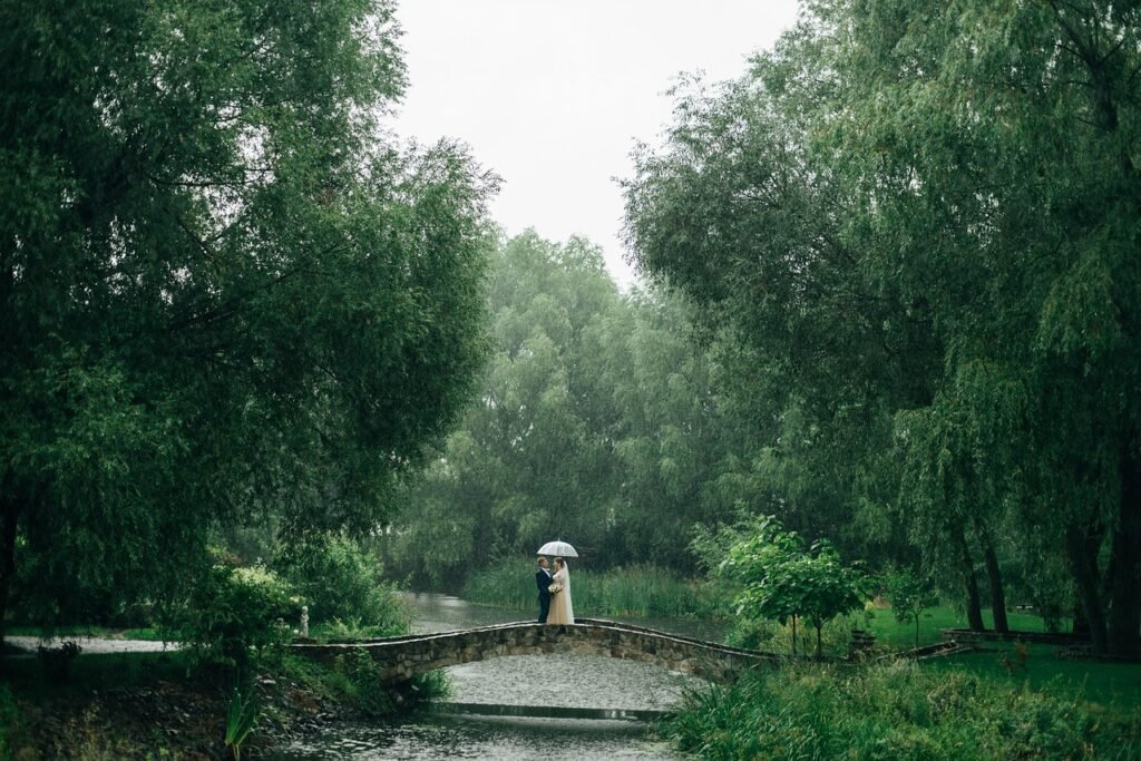 park, rain, wedding, couple, wedding day, nature, wedding photography, raining, trees, forest, landscape, rain, rain, rain, r
