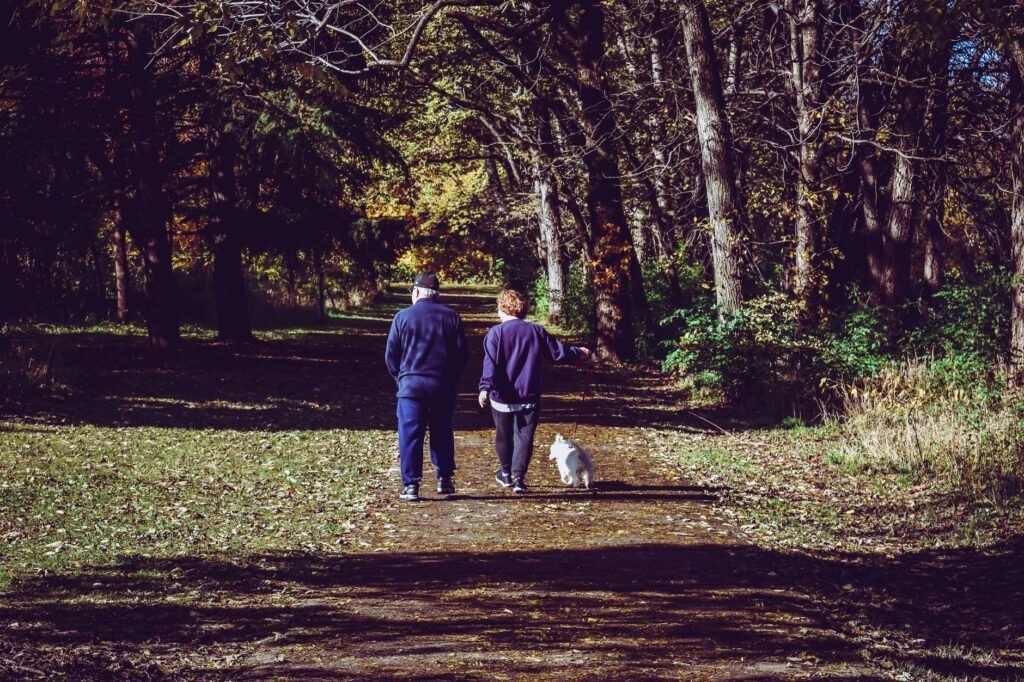 A couple walking their dog on a sunlit path in a vibrant autumn park setting.