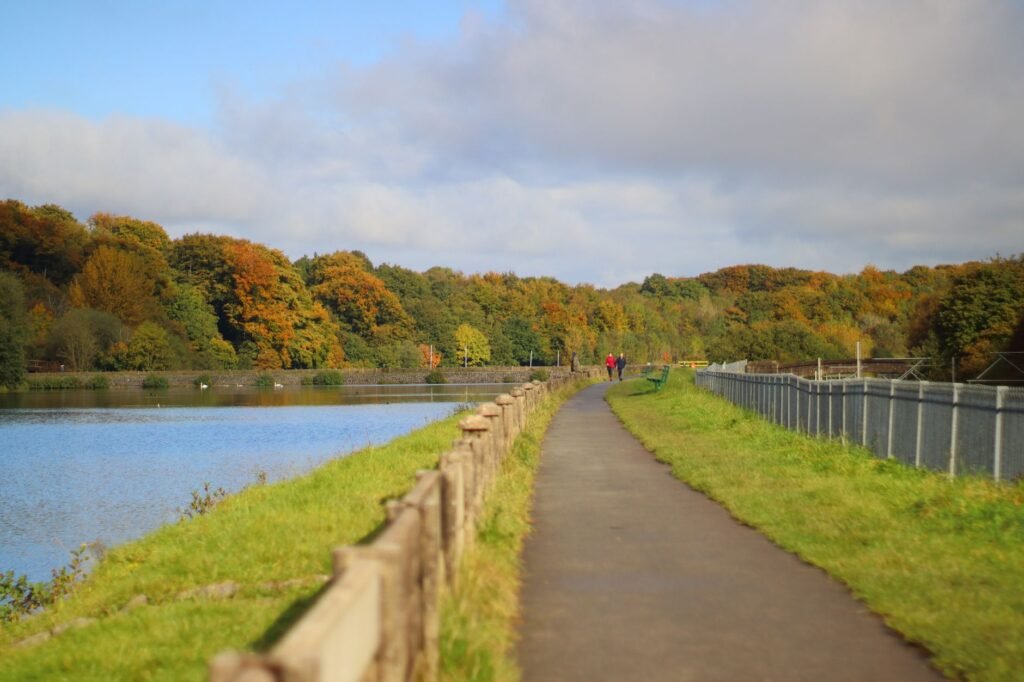 A peaceful autumn scene with a path by a lake surrounded by colorful trees in England.