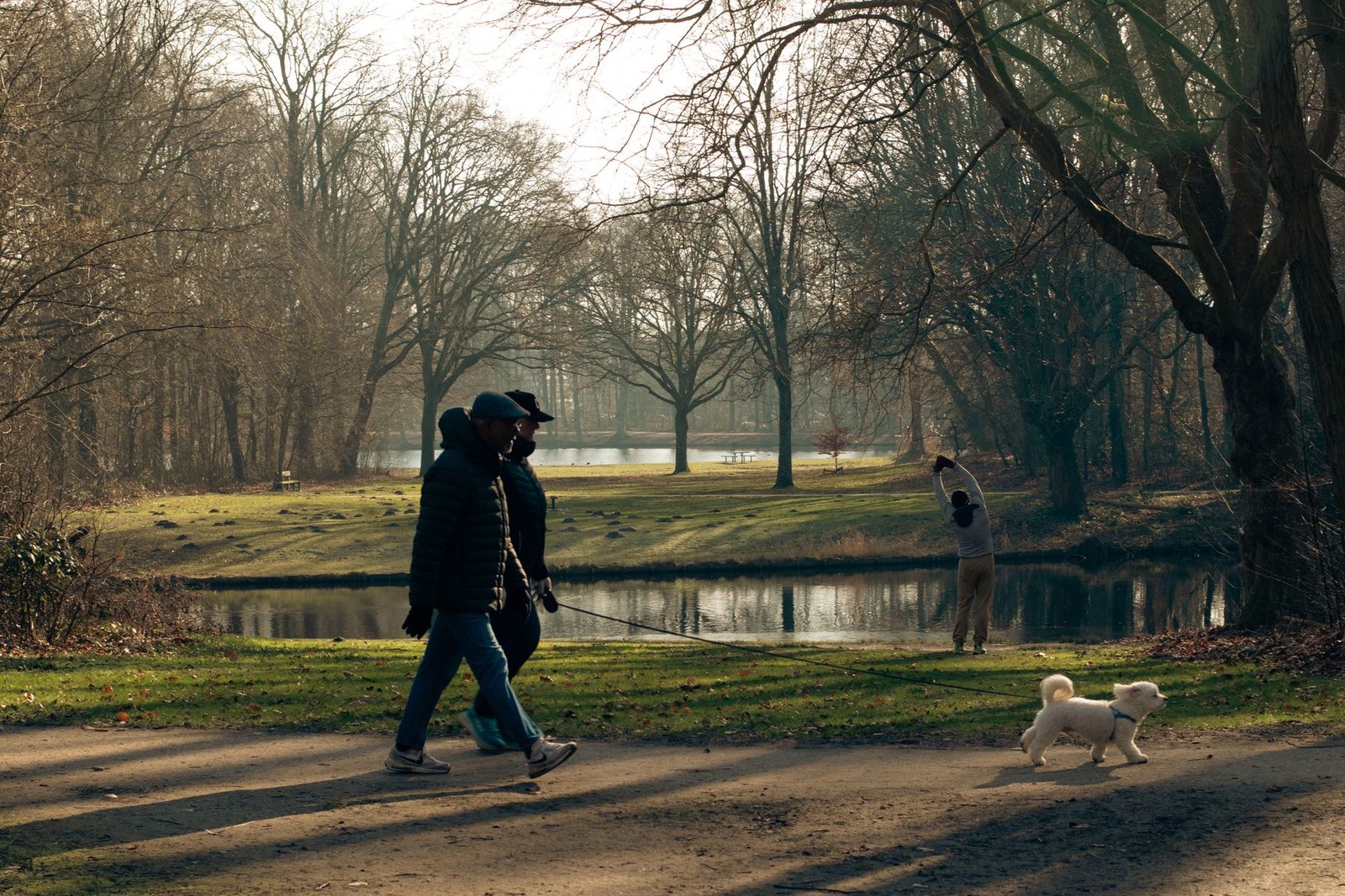 A serene park scene in Den Haag with people walking and a dog playing by the pond.