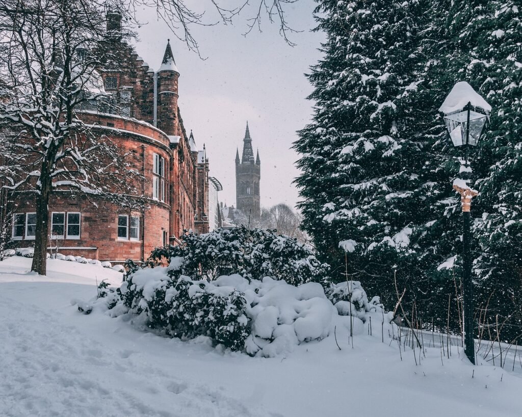 university of glasgow, glasgow, university, winter, snow, cold, tree, nature, frozen, christmas