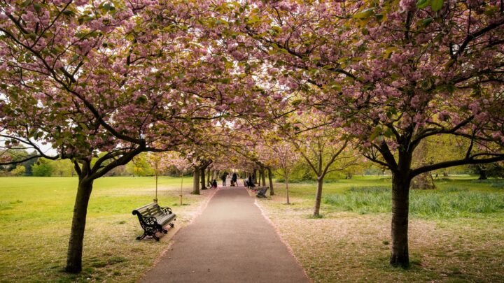 Romantic in Luton: When Simple Plans Work Best