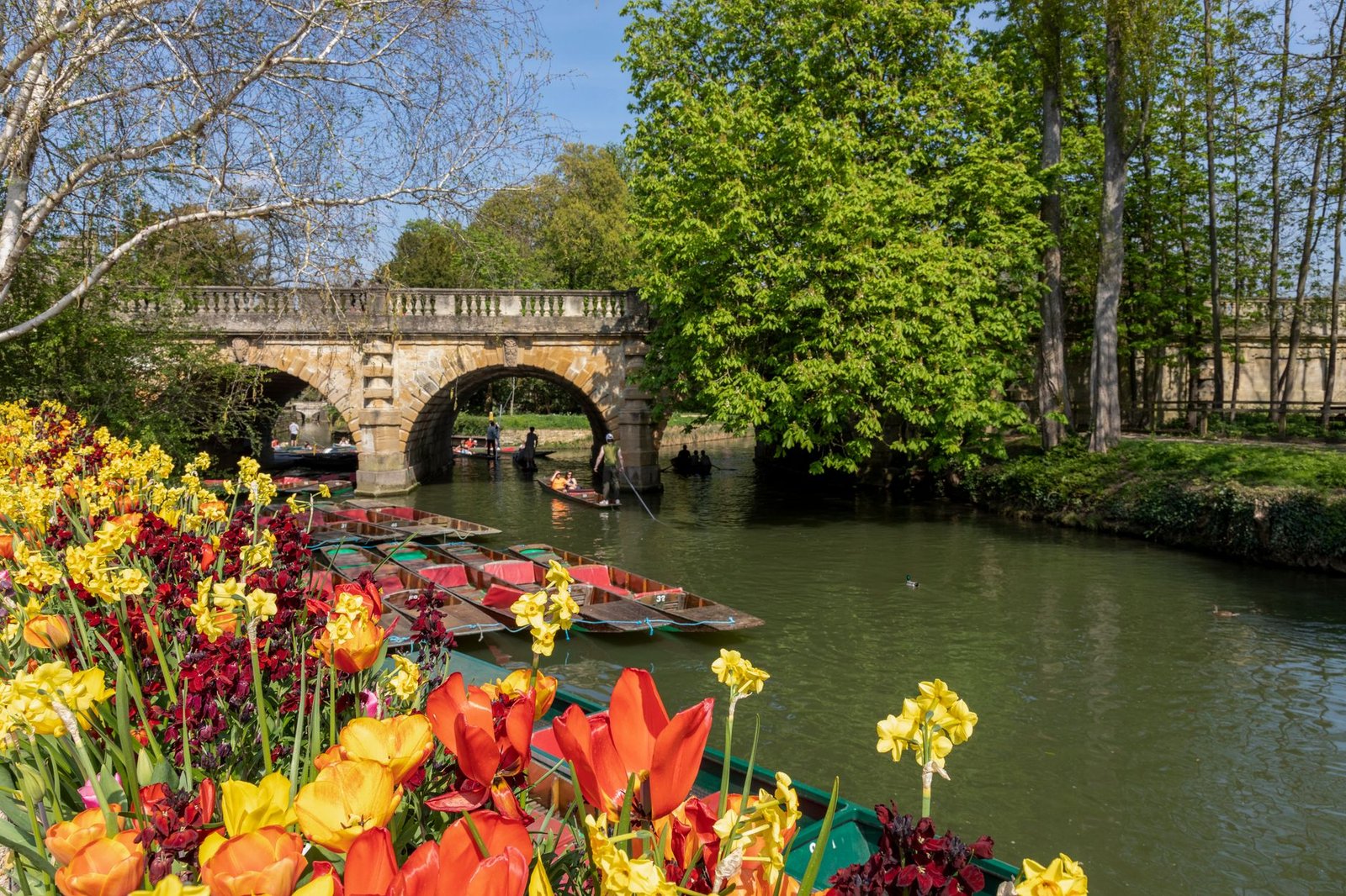 Vibrant spring flowers and boating on River Cherwell near Magdalen Bridge in Oxford.