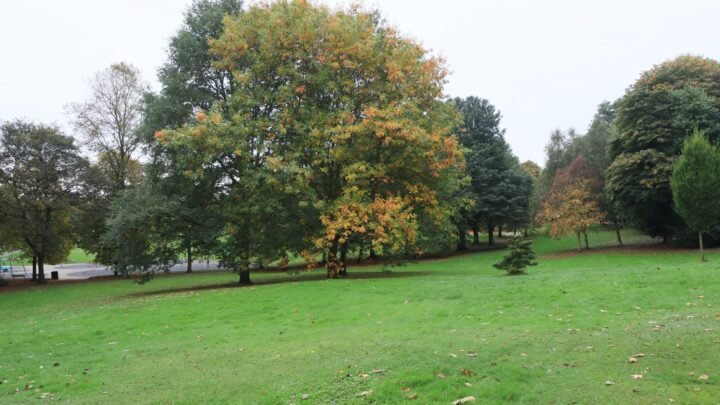 Romantic in Swindon: Crafting Meaningful Connections Across Town and Beyond